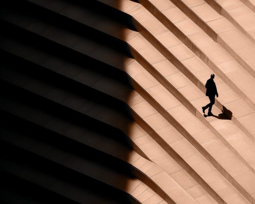 Especializacion vertical